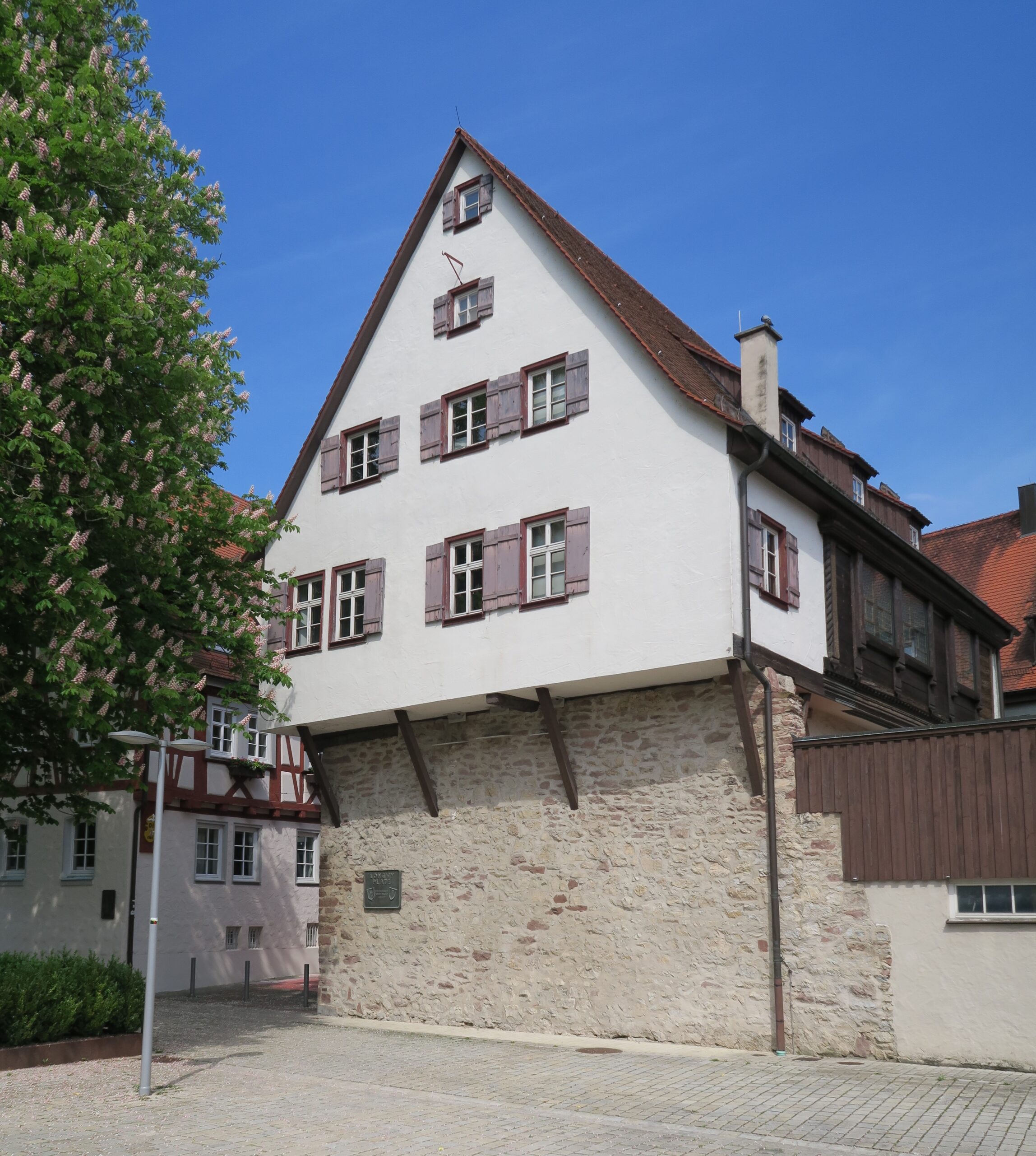 Expressiver Schwarzwald - Georg Schaible