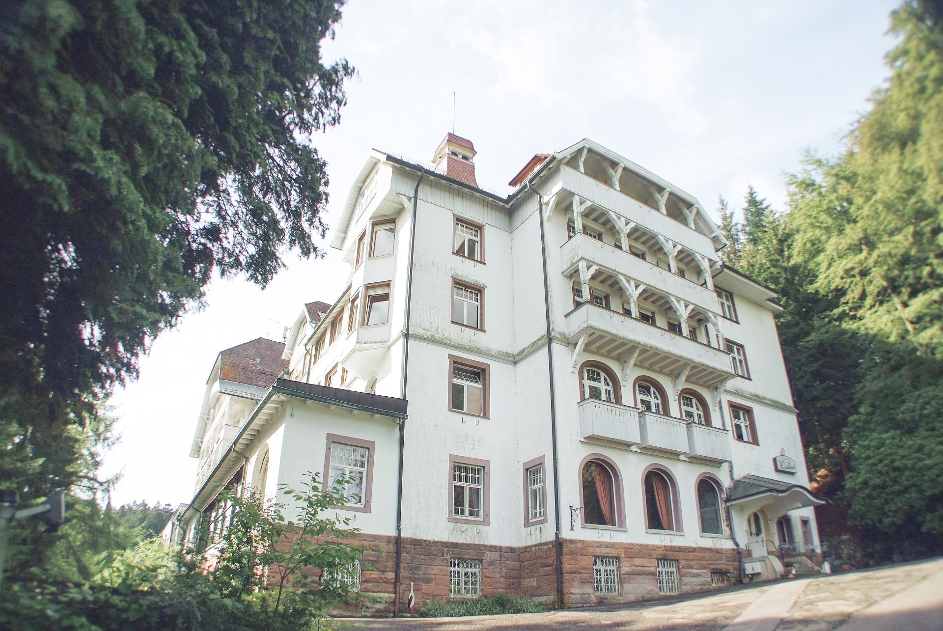 Sommernacht in der Waldlust